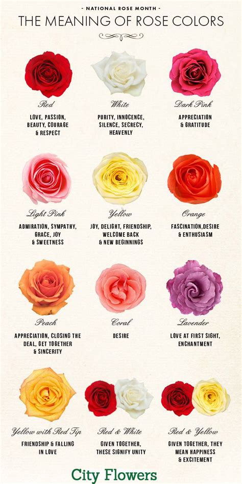 english rose symbol meaning.